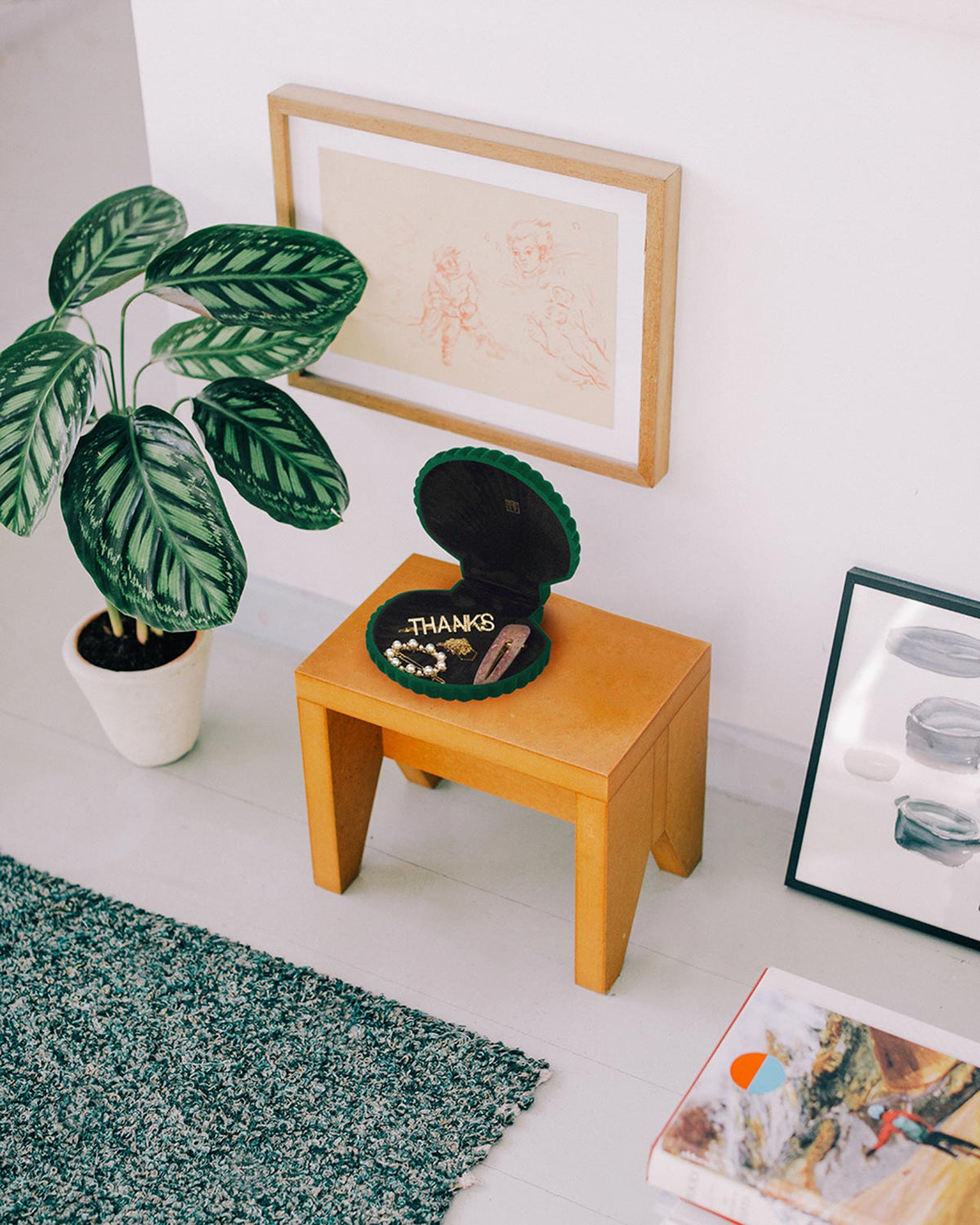 Venus Jewlery Box green - DOIY