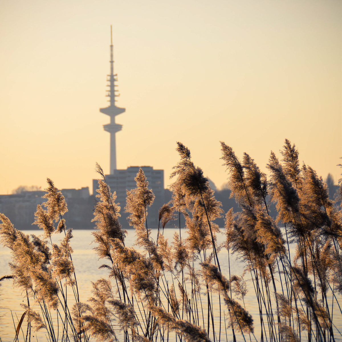 Foto &quot;Aussenalster&quot; 10x10 - Kila