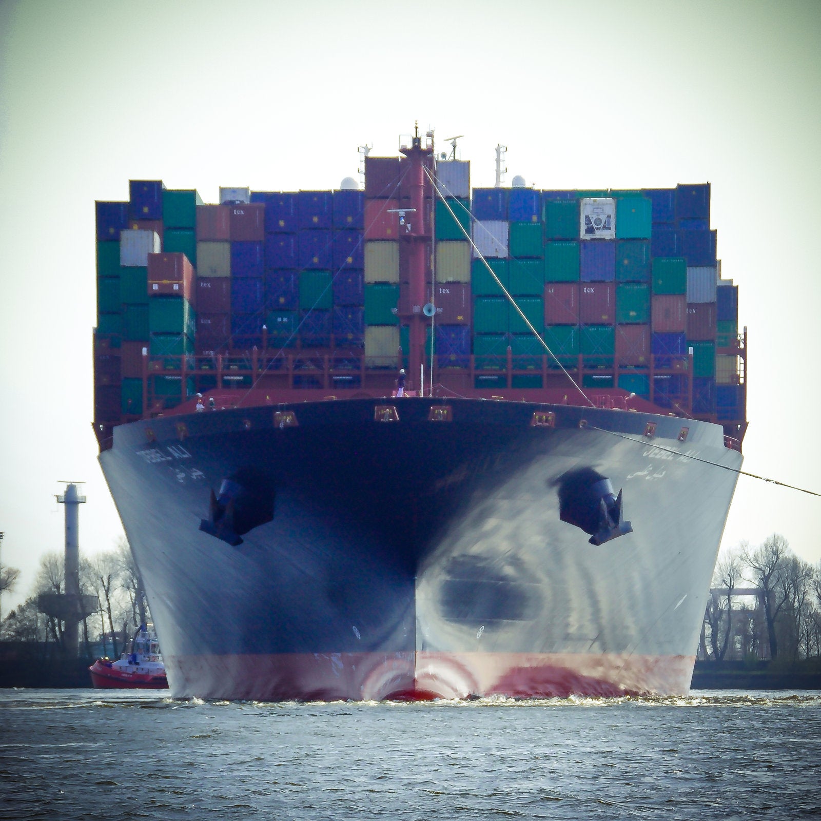 Foto "Bug" HH-22 10x10 - Kila