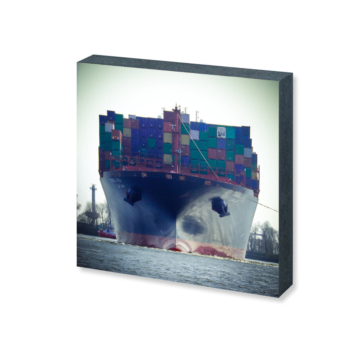 Foto &quot;Bug&quot; HH-22 10x10 - Kila