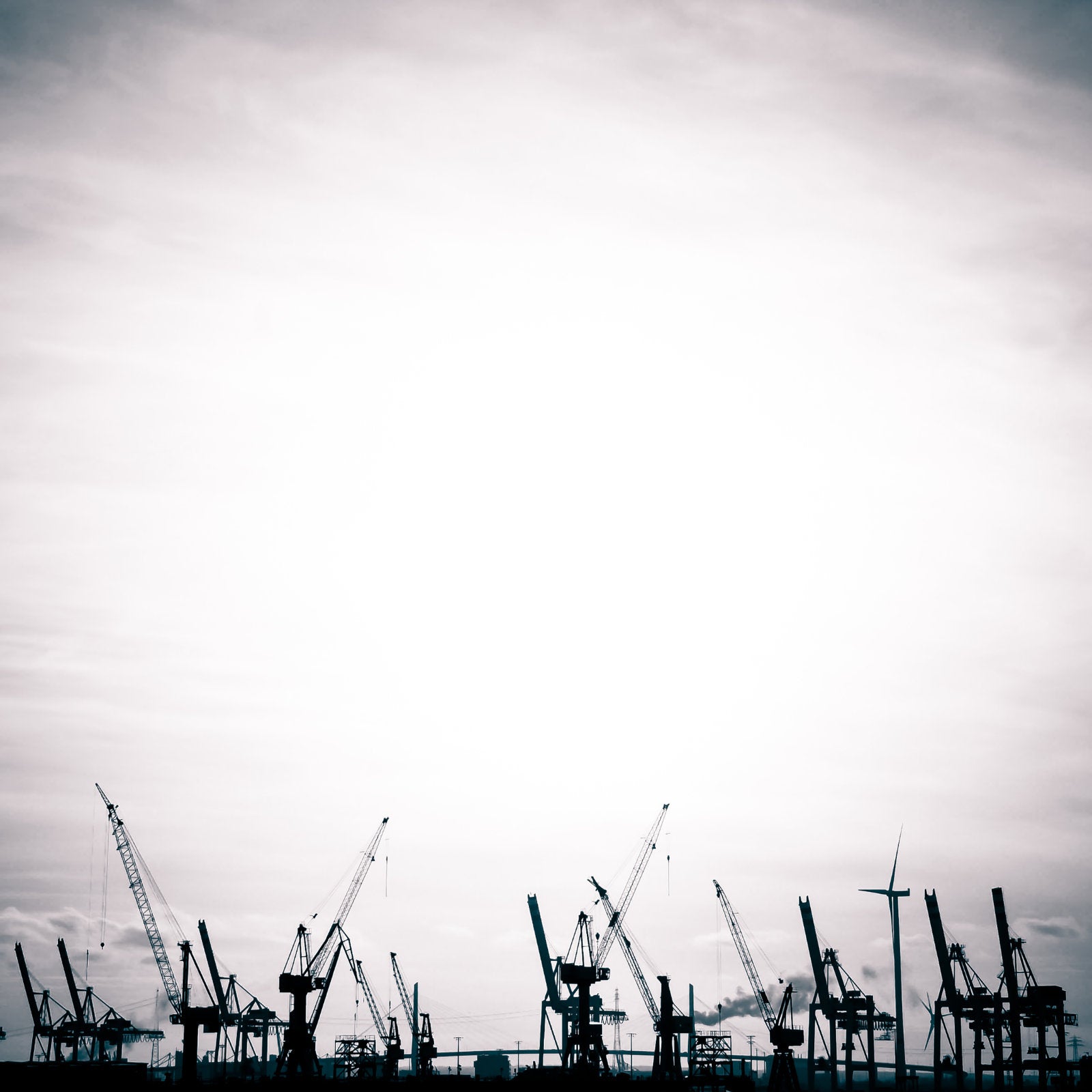 Foto "Giraffen" 10x10 - Kila