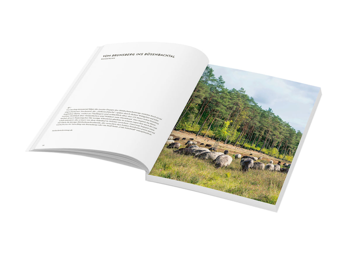 Wochenender: Lüneburger Heide. Harburg, Heidekreis, Lüneburg