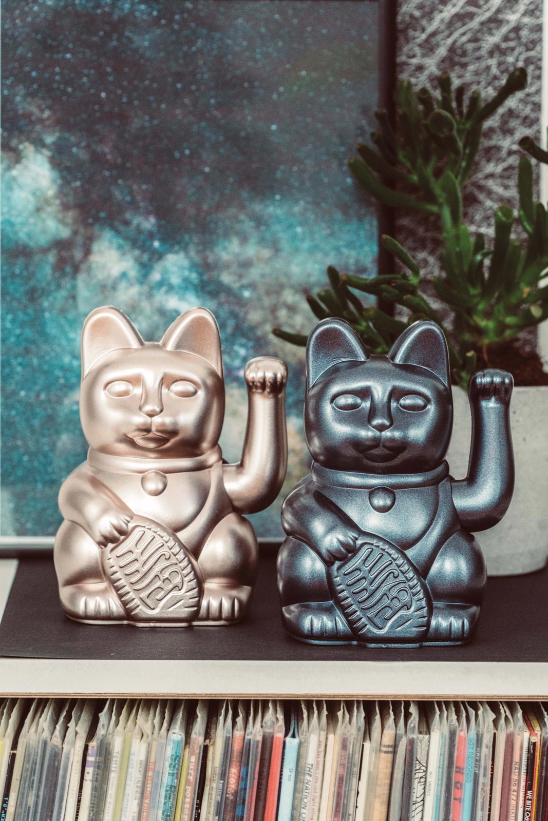 Lucky Cat galaxy - donkey products