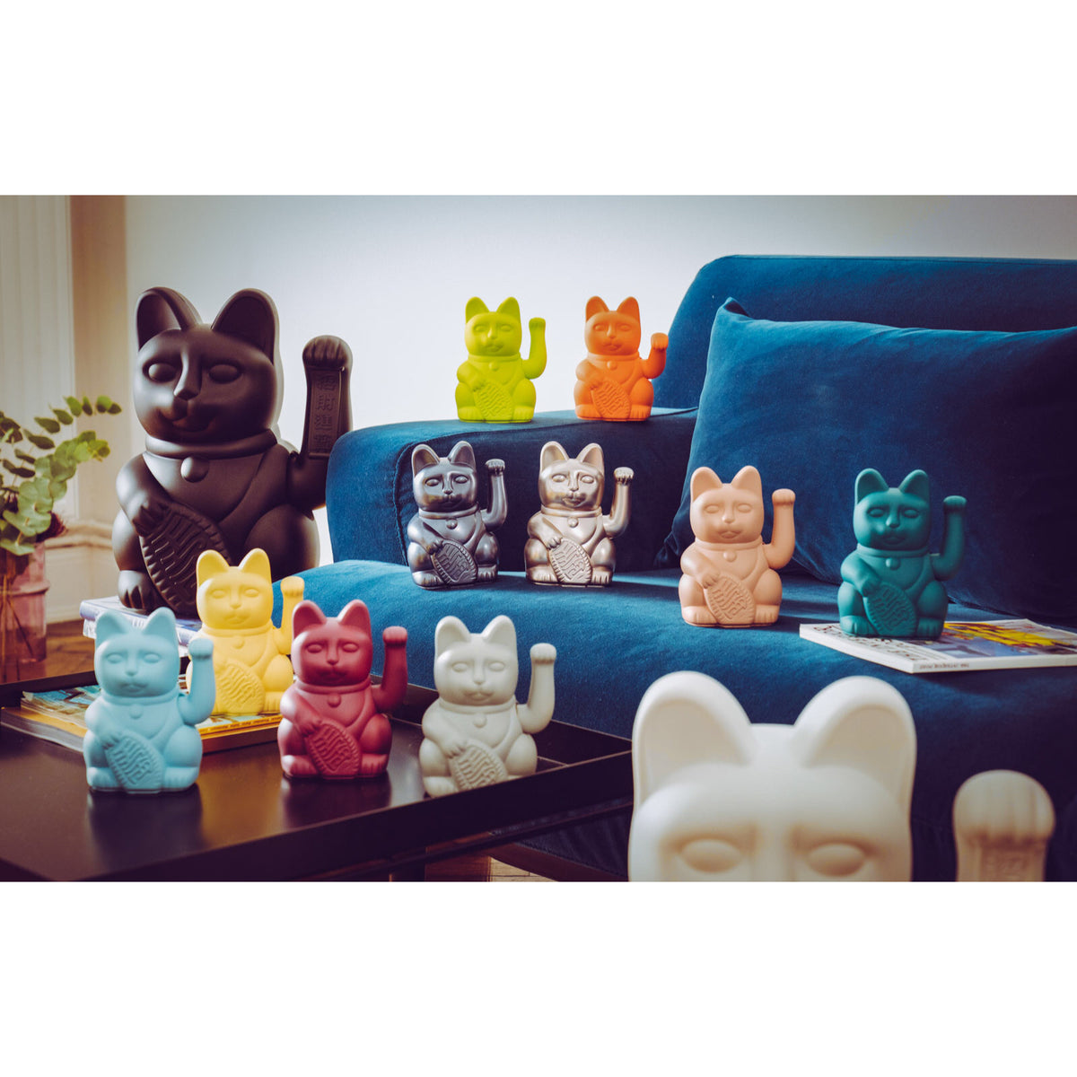 Lucky Cat blue - donkey products