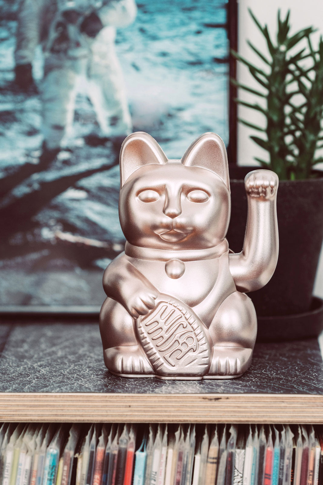 Lucky Cat moonlight - donkey products