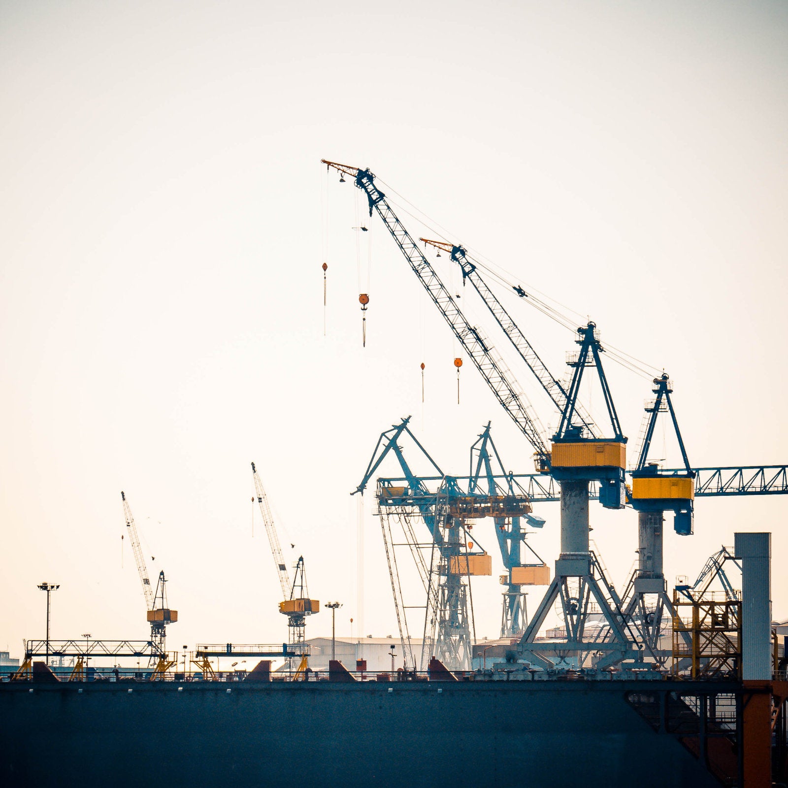 Foto "Sonnenkran" HH-148 10x10 - Kila