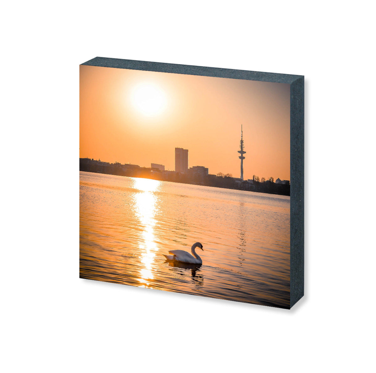 Foto &quot;Alsterschwan&quot; HH-149 10x10 - Kila