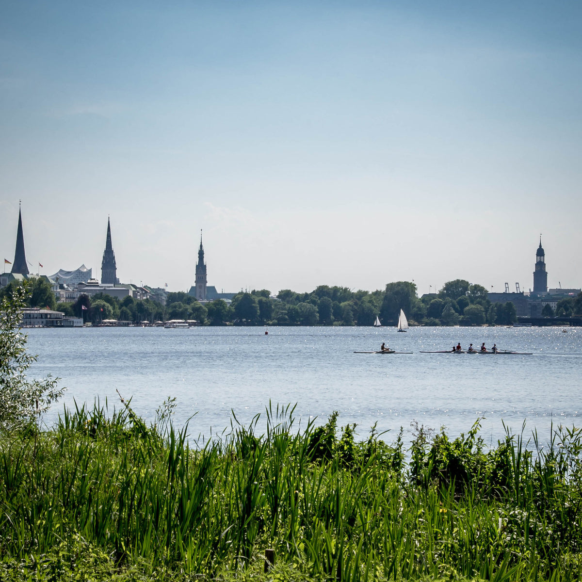 Foto &quot;Alstergras&quot; HH-157 10x10 - Kila