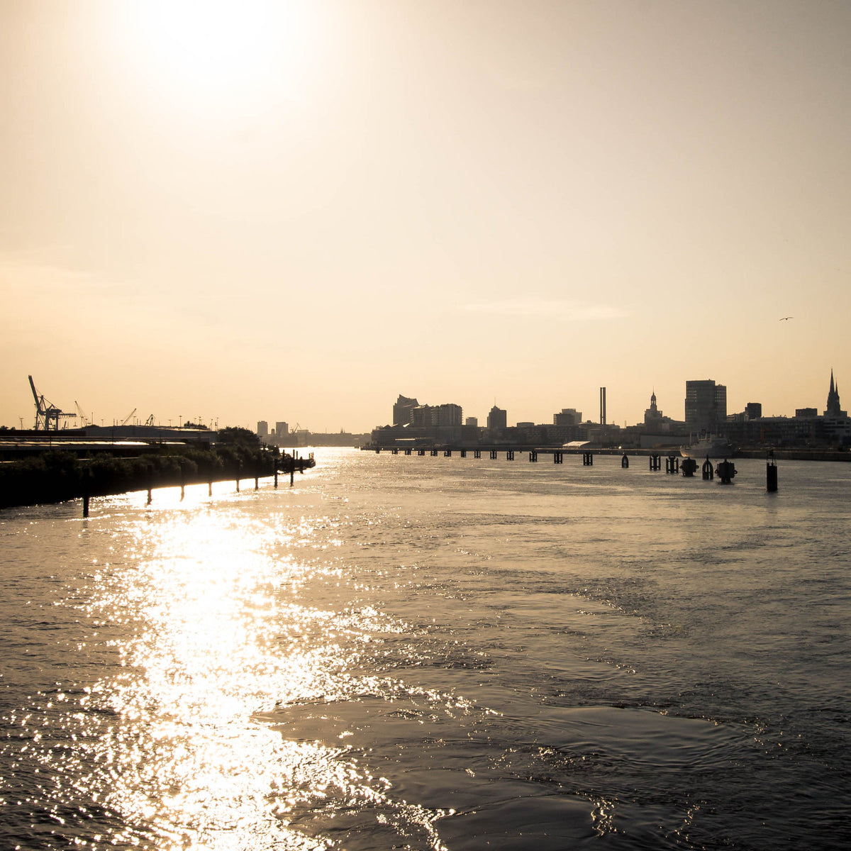 Foto &quot;Sonnenelbe&quot; HH-160 10x10 - Kila