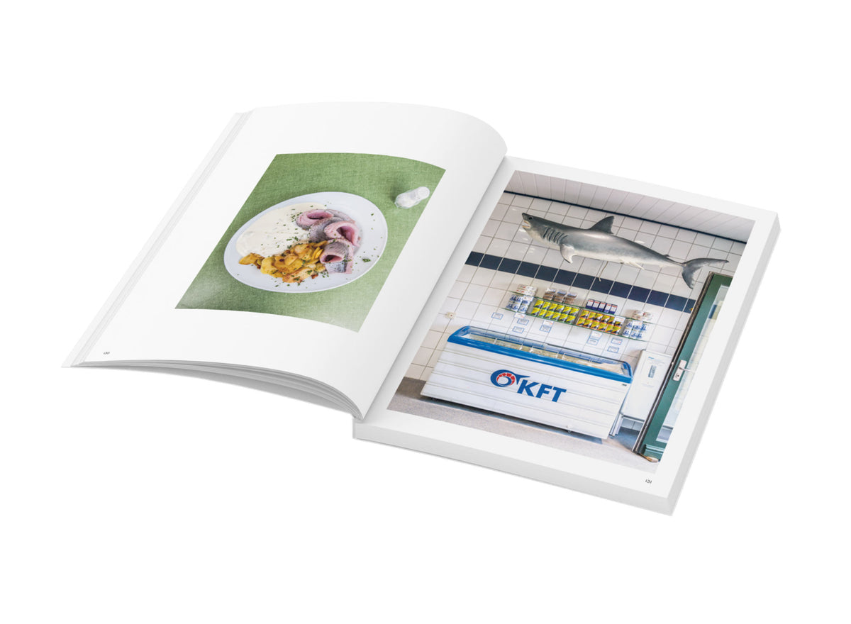 Wochenender: Nordseeküste. Dithmarschen, Eiderstedt, Nordfriesland